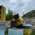 Honey דירה *